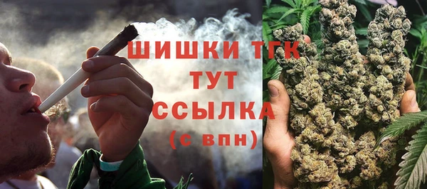 индика Нефтегорск